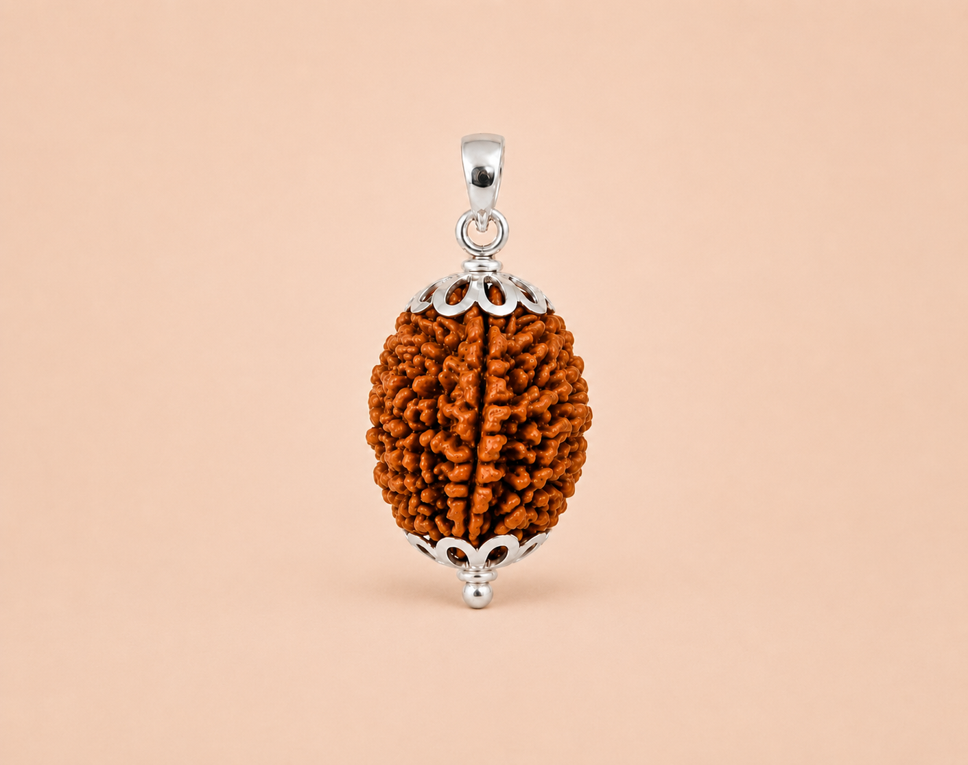 1 Mukhi Rudraksha ( Indonesian Origin)